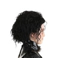 thumbnail image 4 of Edward Scissorhands Kid's Wig, 4 of 4
