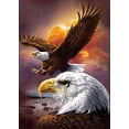 thumbnail image 1 of Pintura de diamantes 5D, juego de pintura de diamantes cuadrados, juego de arte decorativo de pintura de diamantes 5D sin marco de 30 x 40 cm, patrón de animal (águila), 1 of 2