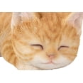 thumbnail image 2 of Hi-Line Gift 7” Orange Tabby Kitten Poly-resin Sleeping Figurines & Knick-Knacks, 2 of 7