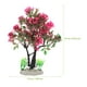 thumbnail image 5 of KAKOWELY Decoración de plantas artificiales Planta de acuario falsa Planta de acuario falsa Planta de mesa de arena Planta, 5 of 5