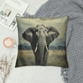 thumbnail image 2 of JRXY  African Elephant Throw Pillow Case Nature Wildlife African Elephant Pillow Cushion Covers Home Sofa Decorative White, 2 of 5
