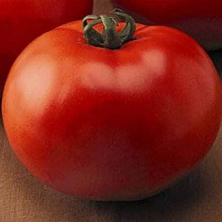 Tomato Garden Seeds - Goliath Hybrid - 100 Seeds - Non-GMO, Vegetable Gardening