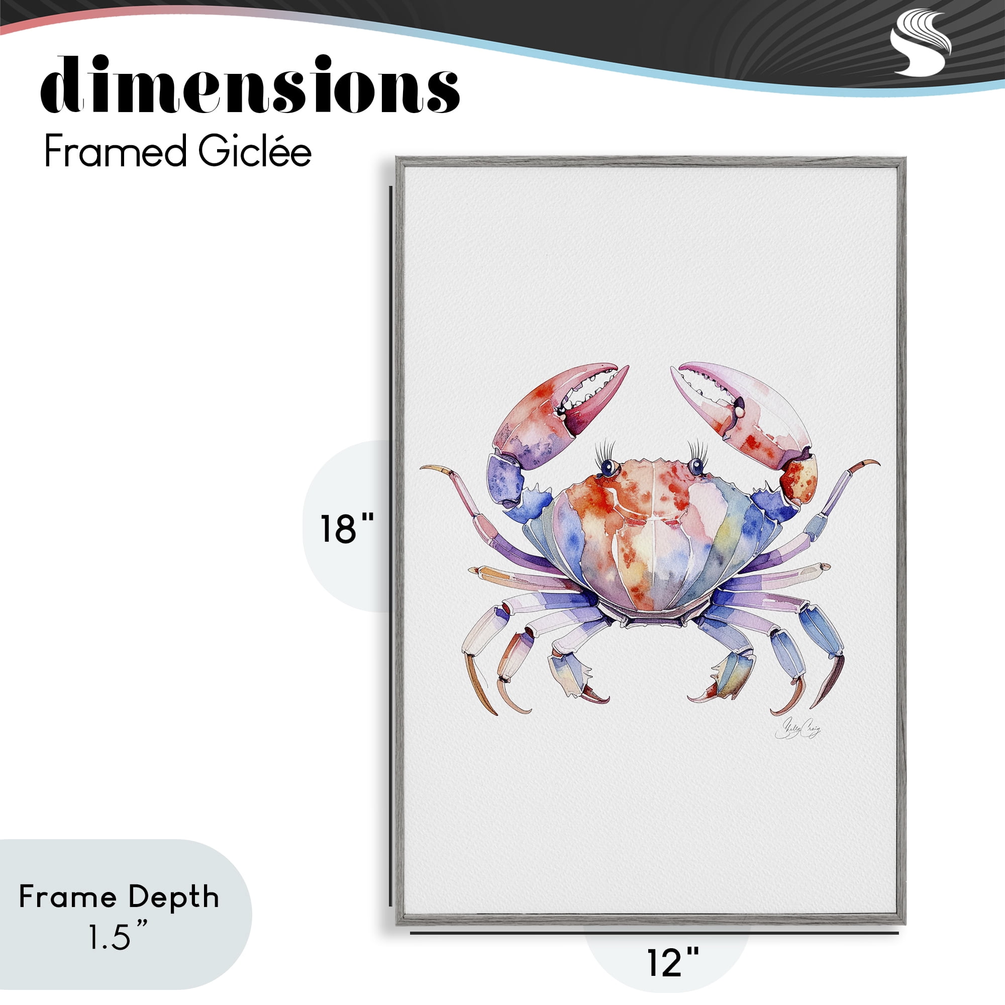 Stupell Industries Tide Dancer Crab Gray Framed Giclee Art, design by Shelly Craig