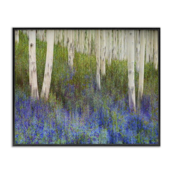Stupell Industries Contemporary Lavender Field with Birch Trees Black Framed Giclee Art, 14 x 11, by Chris Vest