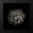 thumbnail image 2 of Carson, Brian 20x20 Black Modern Framed Museum Art Print Titled - Black And White Peony II, 2 of 5