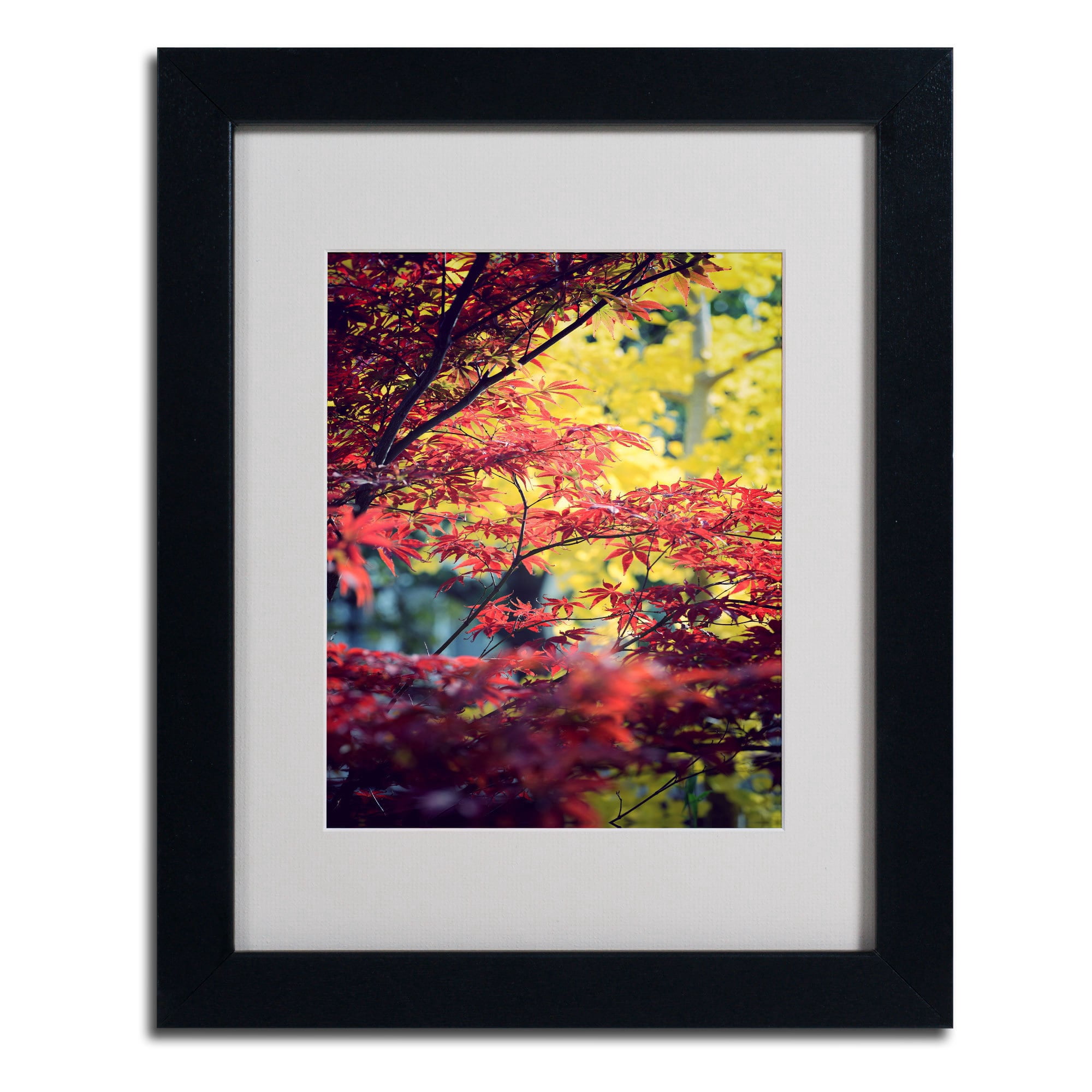 Trademark Fine Art "Red vs Yellow" Canvas Art by Philippe Sainte-Laudy, Black Frame