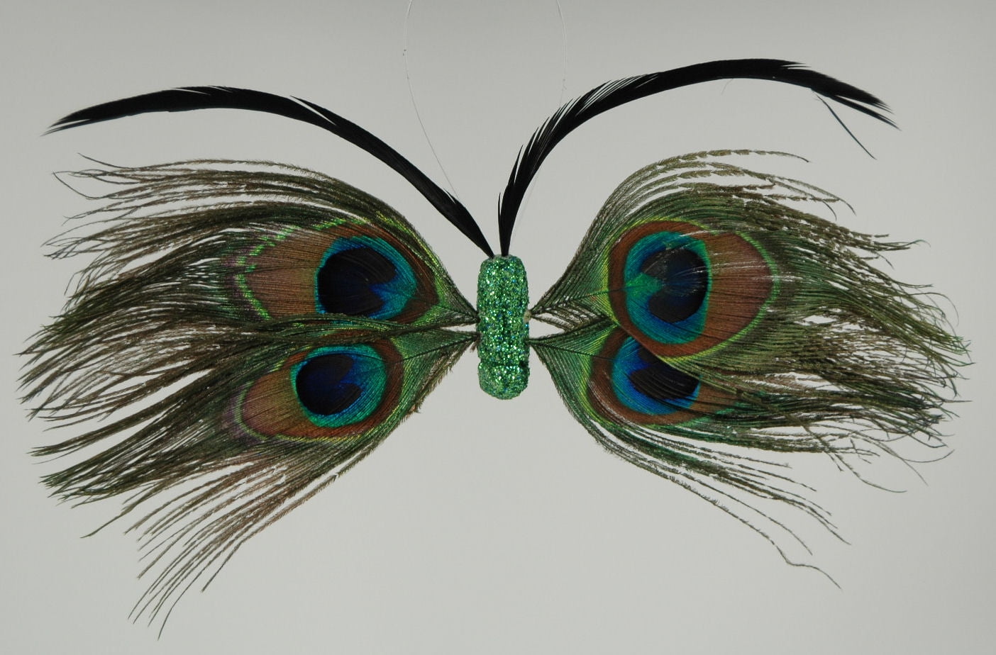 peacock feather butterfly