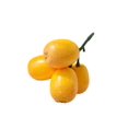 thumbnail image 4 of Artificial Loquat Fruit Realistic Simulation Fruits Model for Home Kitchen Dining Table Decoration, 4 of 11
