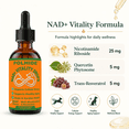 thumbnail image 3 of POLHIDE NAD+ Vitality Drops Dog and Cat Liquid Supplement, Nicotinamide Riboside, Quercetin Phytosome & Trans-Resveratrol, Beef Flavor, 2.1 fl oz / 60 mL, 3 of 9