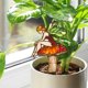thumbnail image 4 of Maceta 3D con flores para enchufar | Diseño infantil | Minijardín de musgo con suculentas | Resina resistente al agua y al óxido | Uso en interiores y exteriores | Adorno para el hogar y la oficina, 4 of 5