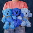 thumbnail image 4 of Set de 6 piezas Osos Mix Flomo color azul surtidos de peluche, 4 of 5