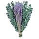thumbnail image 1 of 15 Piezas de Tallos de Eucalipto Conservados Secos y Paquetes de Flores de Lavanda para Ducha, Planta de Ducha de Tallos de Hojas de Eucalipto de 17 Pulgadas, 1 of 5
