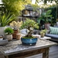 thumbnail image 2 of Ordivic 6 inch Blue Glaze Round Ceramic Bonsai Pot with Drainage Hole & Saucer, Decorative Indoor Planter for Home Living Room Decor, 2 of 8