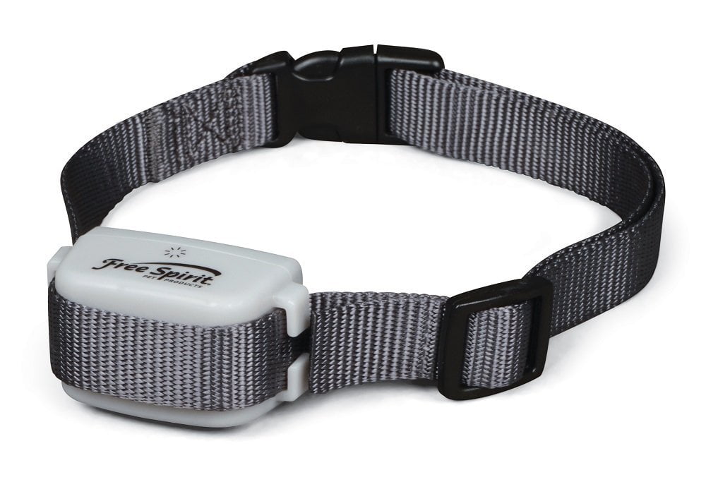 dog trainer collar dog trainer collar