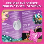 Barbie Crystal Jewelry Growing Kit for Creative Crafting and Design by Blue Marble