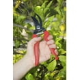 thumbnail image 2 of Corona Clipper BP 3214D Pruning Shear, 3/4 in Cutting Capacity, Stainless Steel Blade, Bypass Blade, 2 of 8