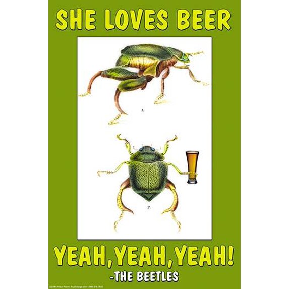 She Loves Beer, yeah, yeah, yeah - The Beetles- Fine Art Canvas Print (20" x 30")