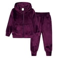 thumbnail image 2 of Gerichy Toddler Baby Boy Clothes Fall Winter Outfit, Boys And Girls Fall And Winter Sports Suit Fashionable Fashionable Zipper Middle And Large Children's Gold Velvet Two Piece Set, 2 of 9