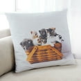 thumbnail image 1 of Ahgly Company Cat Cats Indoor Throw Pillow, 18 inch by 18 inch, 1 of 6