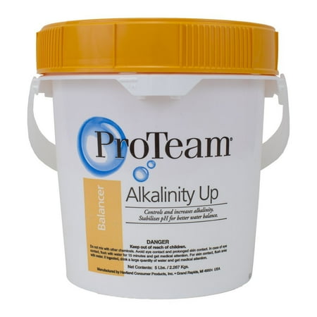 Alkalinity Up (5 lb), Raises Pool Total Alkalinity By ProTeam from USA