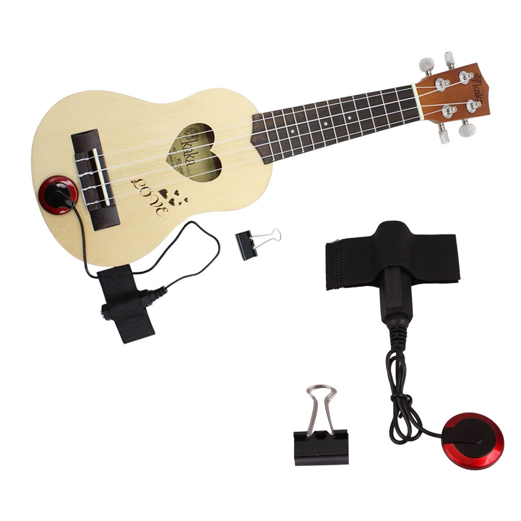 speaker for guitar and microphone