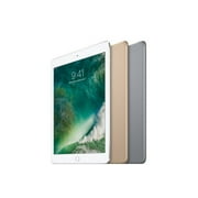 Apple iPad