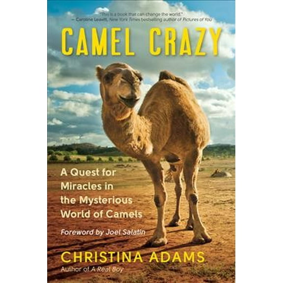 Camel Crazy: A Quest for Miracles in the Mysterious World of Camels (Paperback)