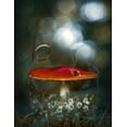 thumbnail image 2 of Love Grams 19x24 White Modern Wood Framed Museum Art Print Titled - Mushroom Fantasy, 2 of 4