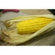 thumbnail image 5 of Premium Corn Husks for Tamales, Hojas de Tamal Natural 1 lb, 5 of 5