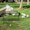 thumbnail image 4 of 1 Set Rutin Chicken Pet Landscaping Board Mesh Shelf with Climbing Ladder, 4 of 8
