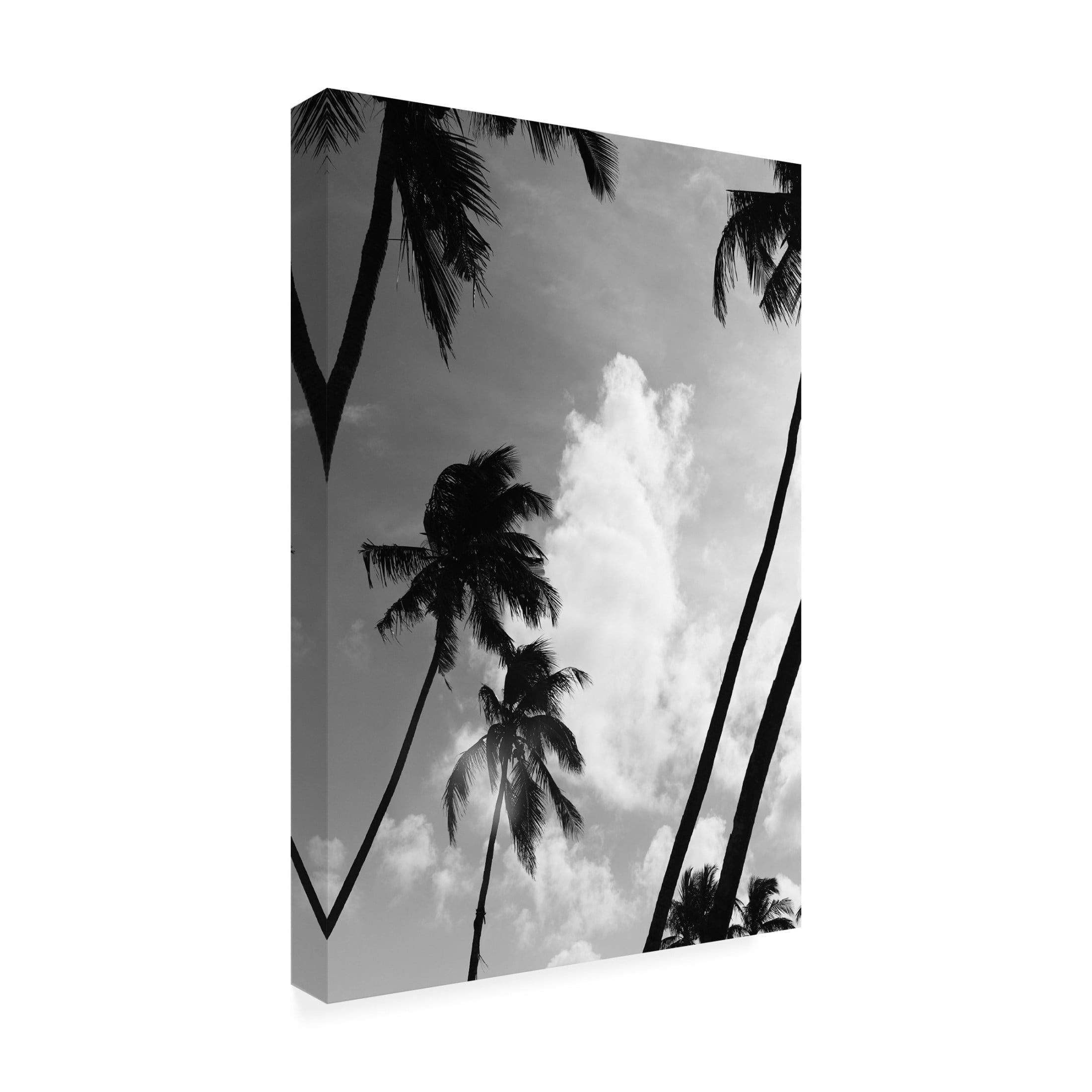 Trademark Fine Art Shot by Clint Coco Island No2 Canvas Wall Art