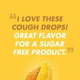 thumbnail image 7 of HALLS Relief Honey Lemon Flavor Cough Drops, 1 Bag - 3 On-the-Go Packs Per Bag (24 Drops Total), 7 of 7