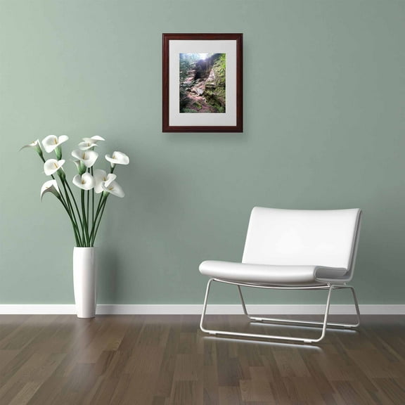 Trademark Fine Art "Powerful Walls" Canvas Art by Monica Fleet, White Matte, Wood Frame