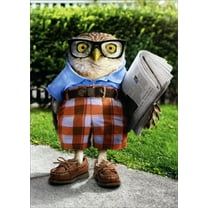 Avanti Press Owl Wearing Glasses, Orange Shorts and Brown Shoes Humorous : Funny Father's Day Card