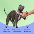 thumbnail image 3 of Small Whole Premium Wild Deer Antler Bone for Dogs by Good Trouble Pets, 3 of 7