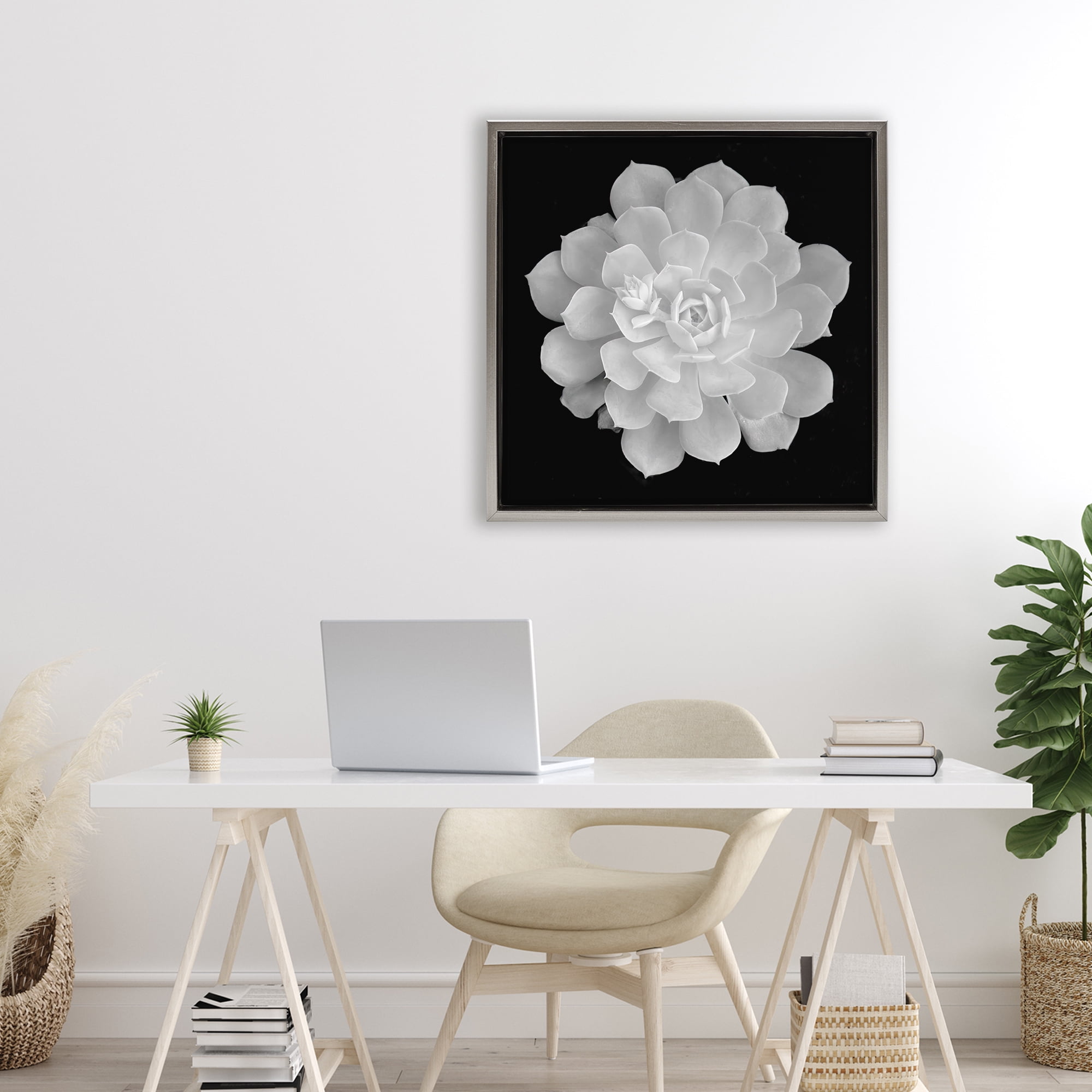 Pure White Succulent Contrast Gray Framed Floater Canvas Wall Art, design by Phillip Flowers