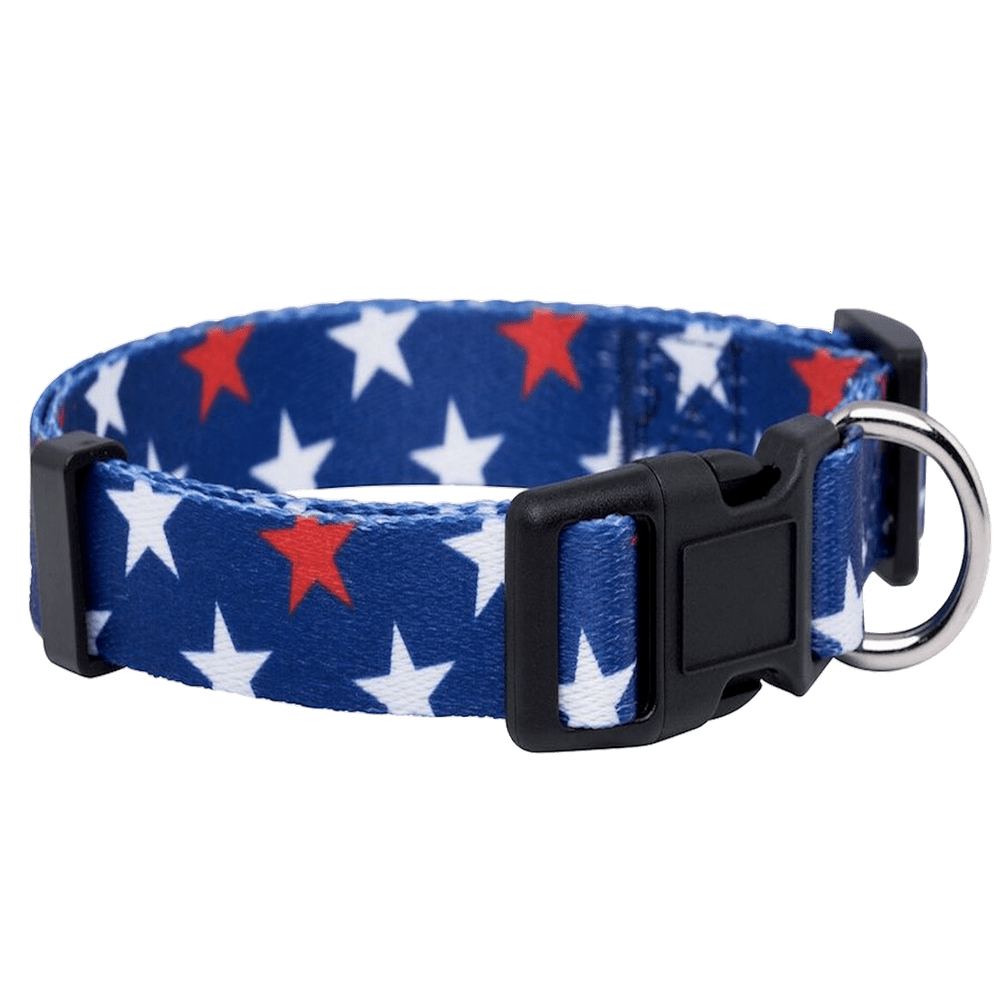 American Flag Dog Collar Red and White Stars
