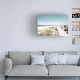 thumbnail image 3 of Blue Palomino 'Beach Walk' Canvas Art, 3 of 3