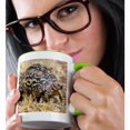 thumbnail image 2 of 3drose, Africa. Tanzania. Serengeti Np. Leopard Tortoise, 15oz Two-tone Green Mug, 2 of 6