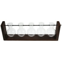 Wall Hanging Plants Terrarium Glass Planter Propagation Hydroponics Vase for Water Plants