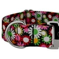 thumbnail image 5 of Country Brook Petz® 1 1/2 inch Premium Daisy Fields Dog Collar, Large, 5 of 5