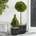 Better Homes and Gardens Wister 12 and 15 IN Rattan Planter Set