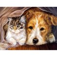thumbnail image 1 of Cuadros Decorativos 5D bricolaje completo taladro diamante pintura gato perro cruz puntada bordado Sywqhk Nuevos Originales, 1 of 9