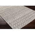 thumbnail image 4 of Livabliss Outdoor Rugs, 7x9 Eagean Global Black Area Rug for Patio, Porch, Deck, Backyard, Waterproof Indoor Outdoor Carpet (6'7" x 9'), 4 of 8