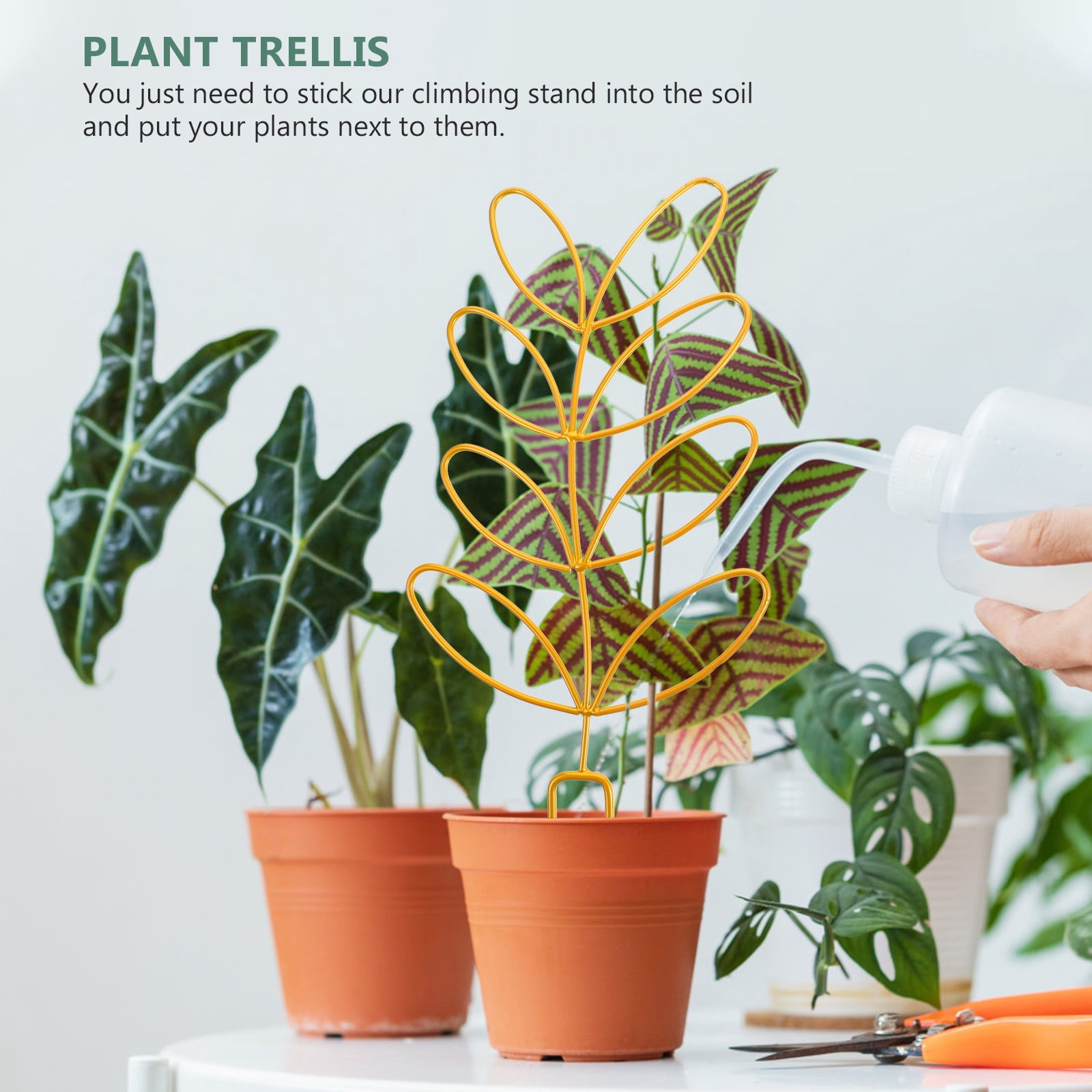 4 Pack Plant Climbing Frame Indoor/outdoor Use Trellis