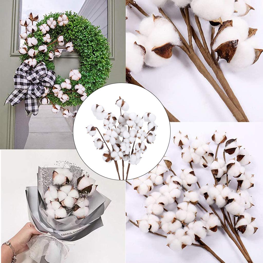 Axioma tishita 40cm Natural Dried Cotton Artificial Flower Floral Arrangement Fillers 7 Bolls 6pcs