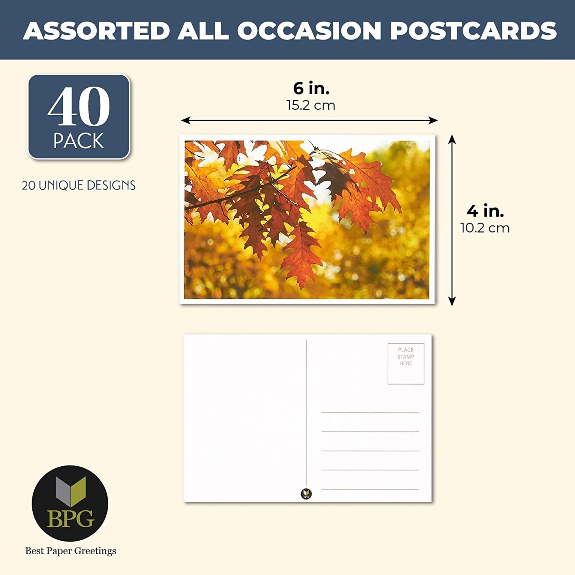 40 Pack Postcards - Four Seasons Postcards Print Variety Pack - Fall, Autumn, Winter, Summer, Spring Theme Self Mailer Postcards with Mailing Side 