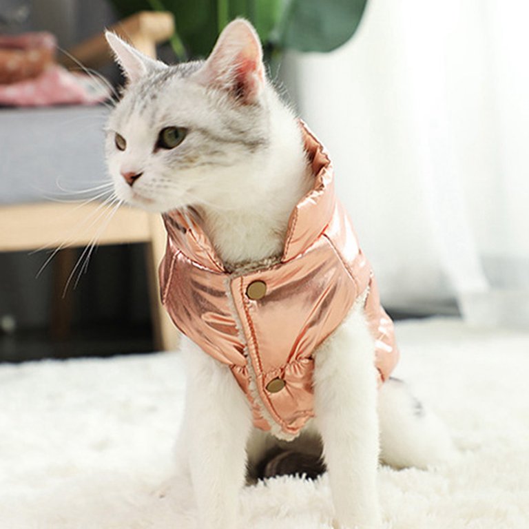 Coats for Sphynx Cats  Cat Winter Coat, Cat Coat, Jackets for cats