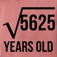 thumbnail image 3 of CafePress - 75 Years Old Square Root T Shirt - Womens Comfort Colors® Shirt, 3 of 4