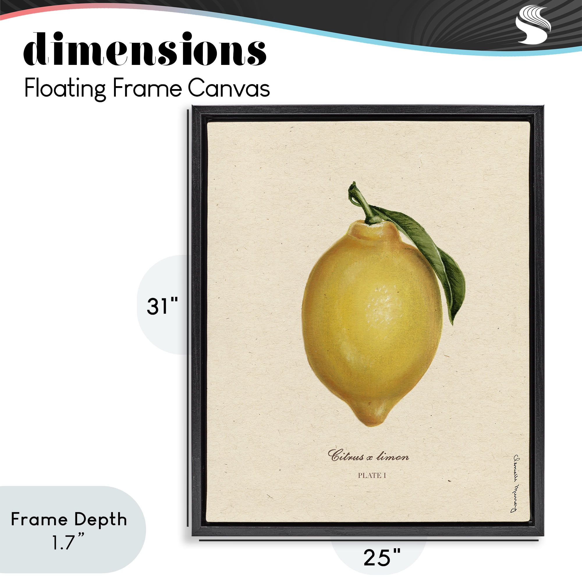 Stupell Industries Lemon Fruit Portrait Black Framed Floater Canvas Wall Art, design by Danielle Murray